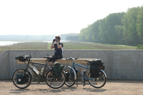 Oostvaardersplassen